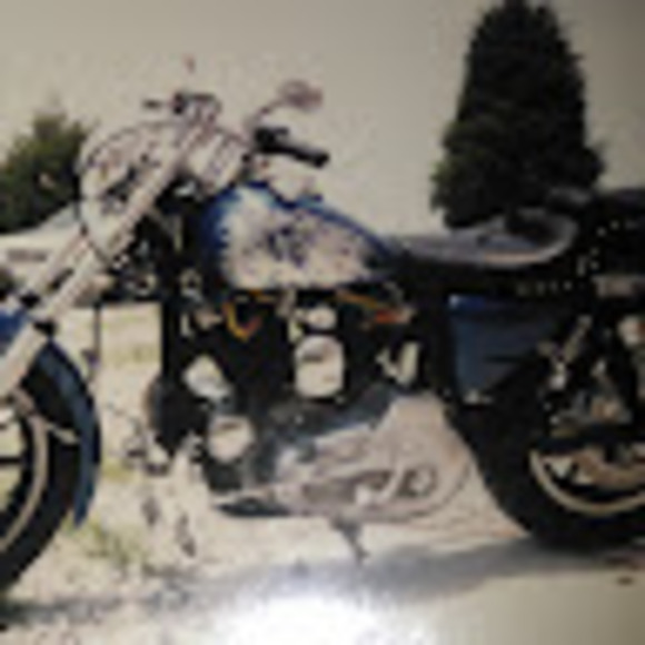 Meet your Posher, Schoobie - Picture 1 of 1